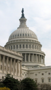 "They Work for Us": Learning about Civic Engagement in Washington, D.C.